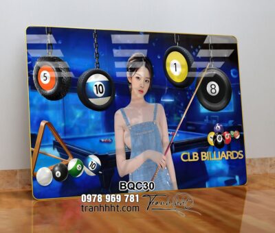 Tranh Bida Billiards BQC30
