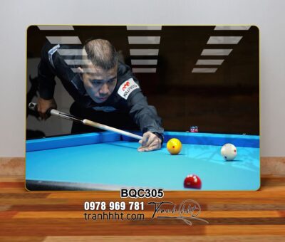 Tranh Bida Billiards BQC305