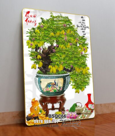Tranh Bonsai Tết BSQC66