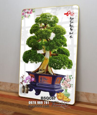 Tranh Bonsai Tết BSQC67