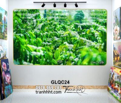 Tranh Gia Lai GLQC24