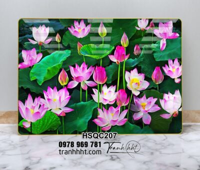 Tranh Hoa Sen Cá Chép HSQC207
