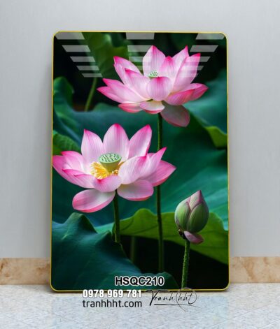Tranh Hoa Sen Cá Chép HSQC210