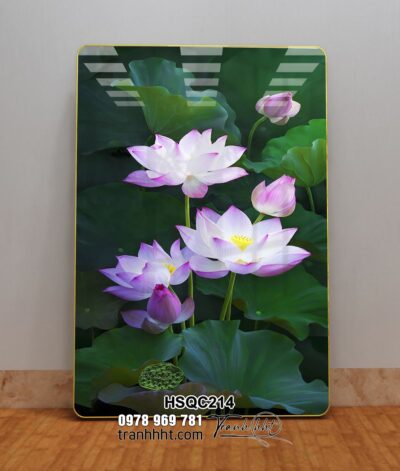 Tranh Hoa Sen Cá Chép HSQC214