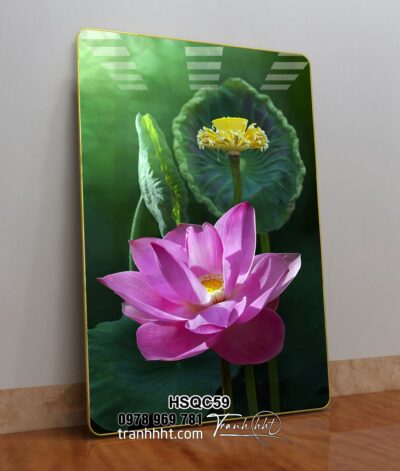 Tranh Hoa Sen Cá Chép HSQC59