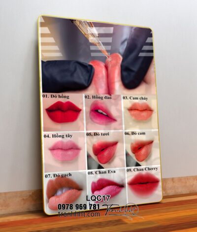 Tranh Phun Xăm Làm Đẹp LQC17