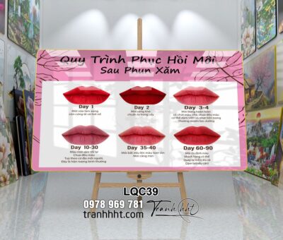 Tranh Phun Xăm Làm Đẹp LQC39