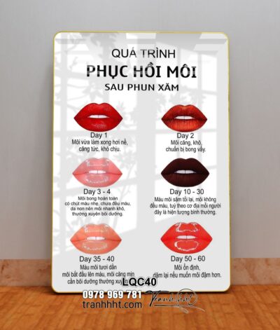 Tranh Phun Xăm Làm Đẹp LQC40