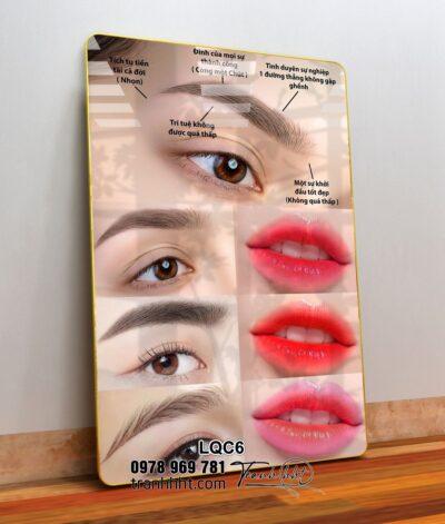 Tranh Phun Xăm Làm Đẹp LQC6