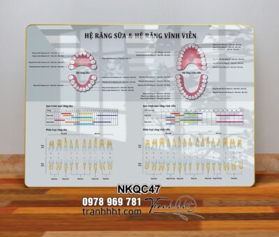 Tranh Nha Khoa NKQC47