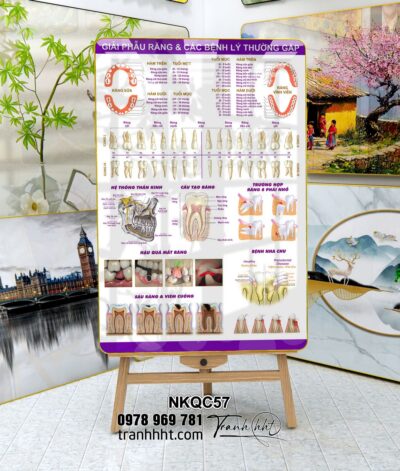 Tranh Nha Khoa NKQC57