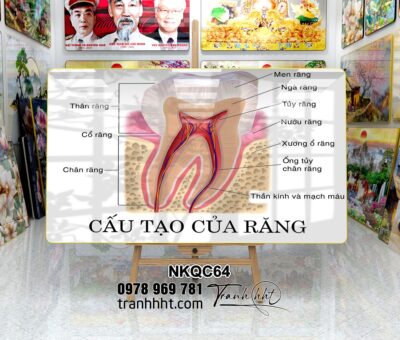 Tranh Nha Khoa NKQC64