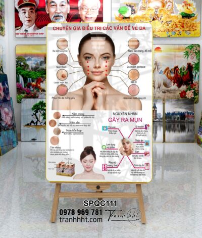 Tranh spa làm đẹp, tranh điều trị da, tranh massage da mặt, Tranh Spa dưỡng sinh đông y làm đẹp điều trị tráng gương treo tường SPQC111