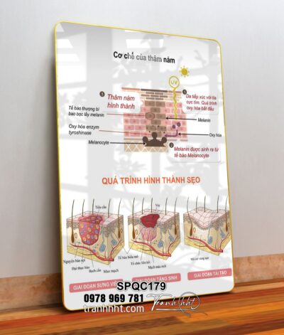 Tranh Spa Dưỡng Sinh SPQC179