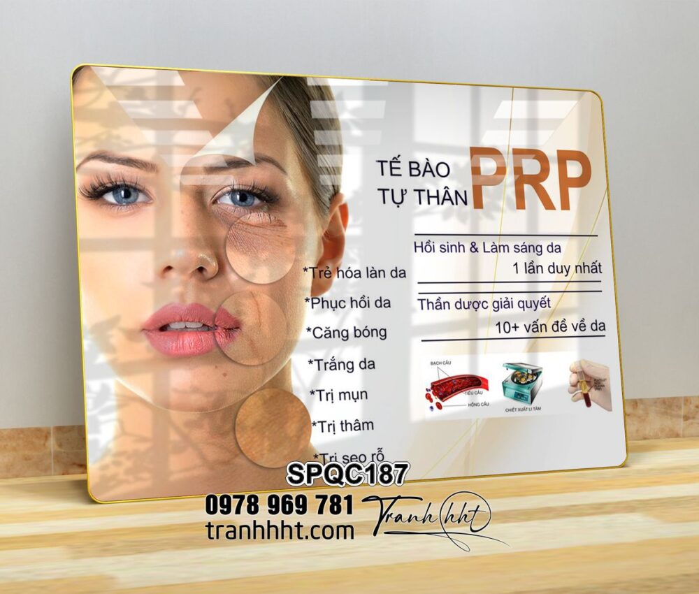 Tranh điều trị da, tranh trị nám tàn nhang, tranh PRP da, Tranh Spa dưỡng sinh làm đẹp chăm sóc da tráng gương treo tường SPQC187