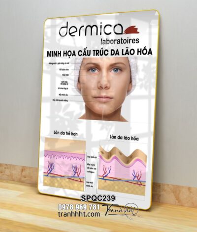 Tranh Spa Dưỡng Sinh SPQC239