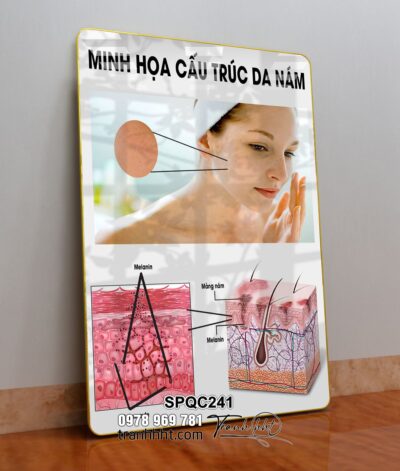 Tranh Spa Dưỡng Sinh SPQC241