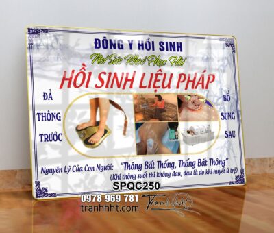 Tranh Spa Dưỡng Sinh SPQC250