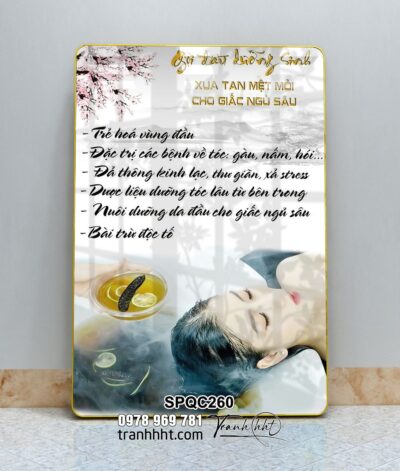 Tranh Spa Dưỡng Sinh SPQC260