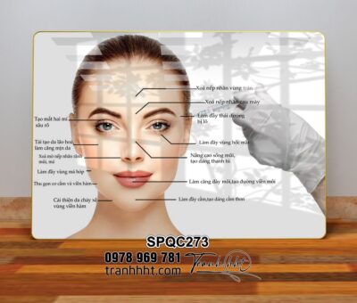 Tranh Spa Dưỡng Sinh SPQC273