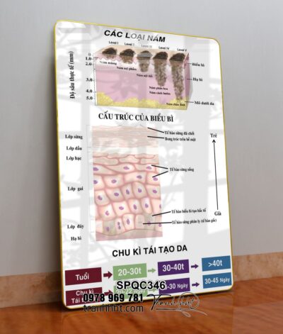 Tranh Spa Dưỡng Sinh SPQC346