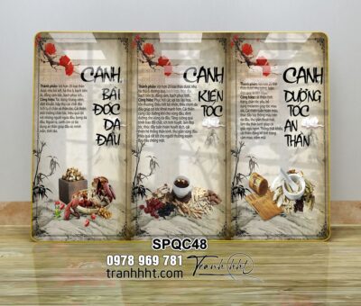 Tranh Spa Dưỡng Sinh SPQC48