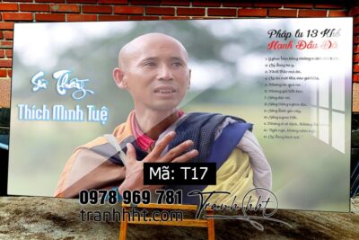 Tranh thầy Minh Tuệ T17