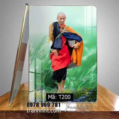 Tranh thầy Minh Tuệ T200