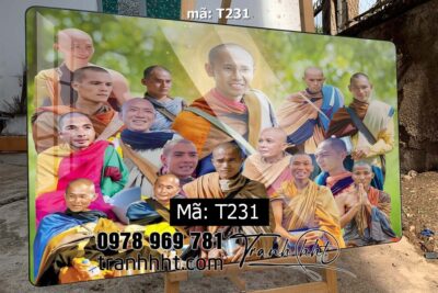 Tranh thầy Minh Tuệ T231