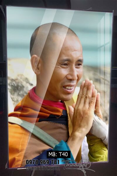 Tranh thầy Minh Tuệ T40