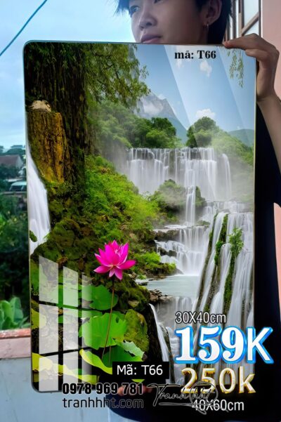 Tranh thầy Minh Tuệ T66