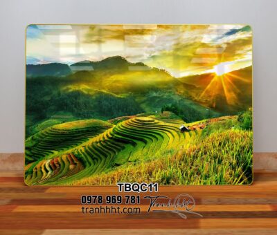 Tranh Tây Bắc TBQC11