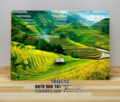 Tranh Tây Bắc TBQC12