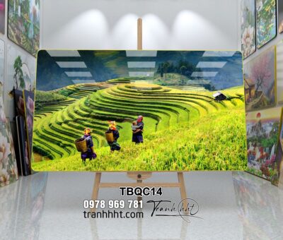 Tranh Tây Bắc TBQC14