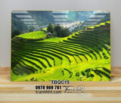 Tranh Tây Bắc TBQC15