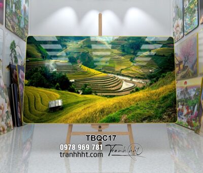 Tranh Tây Bắc TBQC17