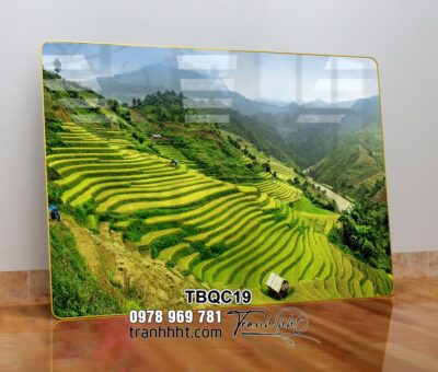 Tranh Tây Bắc TBQC19