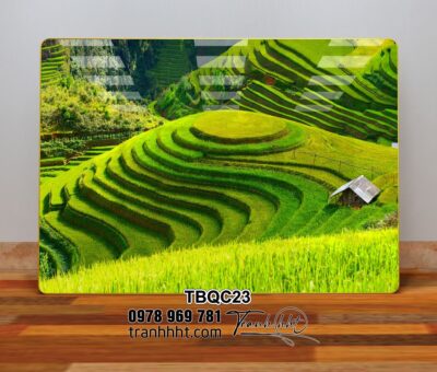 Tranh Tây Bắc TBQC23