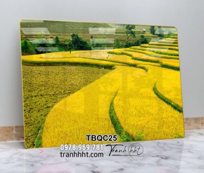 Tranh Tây Bắc TBQC25