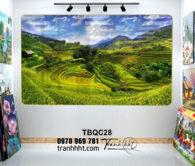 Tranh Tây Bắc TBQC28