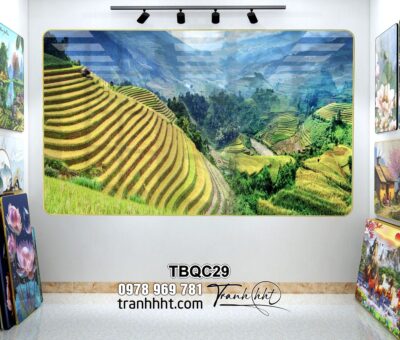Tranh Tây Bắc TBQC29