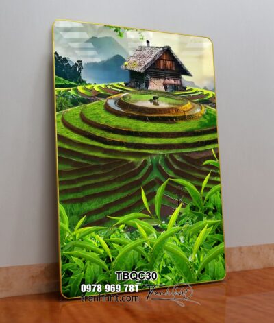 Tranh Tây Bắc TBQC30
