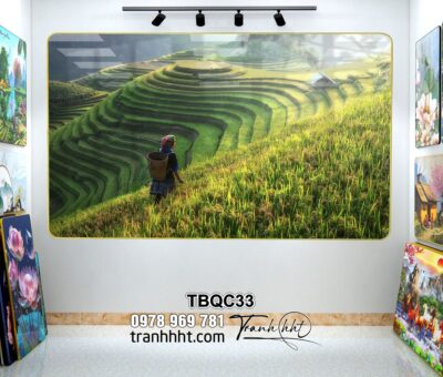 Tranh Tây Bắc TBQC33