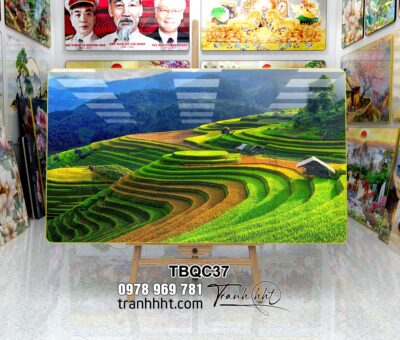 Tranh Tây Bắc TBQC37