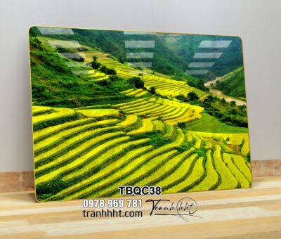 Tranh Tây Bắc TBQC38