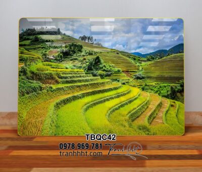 Tranh Tây Bắc TBQC42