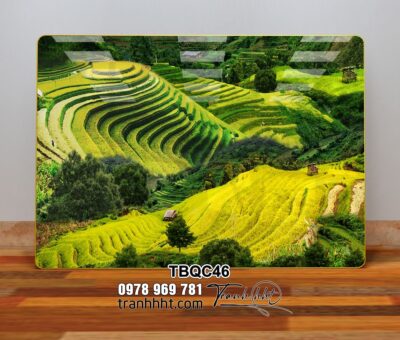 Tranh Tây Bắc TBQC46