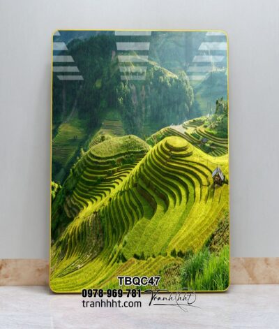 Tranh Tây Bắc TBQC47