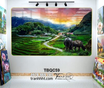 Tranh Tây Bắc TBQC59