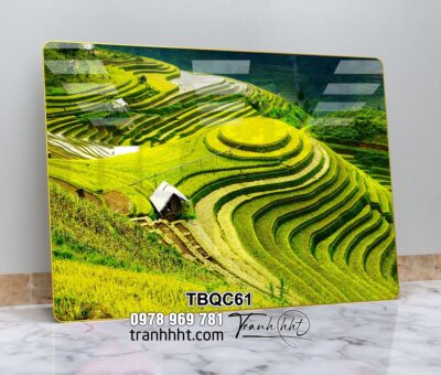 Tranh Tây Bắc TBQC61